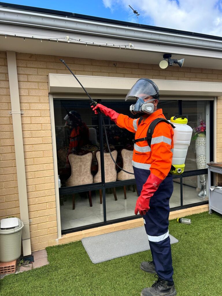 WhatsApp Image 2026-03-22 at 17.41