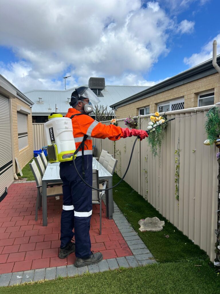 WhatsApp Image 2026-03-22 at 17.41